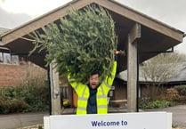 Volunteers wanted to help recycle Christmas trees