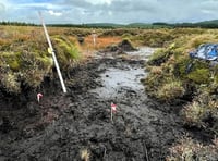 Somerset Wildlife Trust calls on Government to ban peat sales
