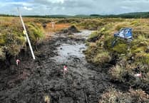 Somerset Wildlife Trust calls on Government to seize final chance to ban peat sales