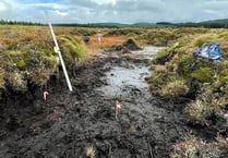 Somerset Wildlife Trust calls on Government to ban peat sales