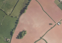 Destroyed Quantocks hedges cause outrage