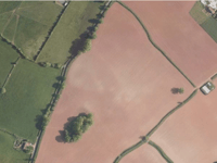 Destroyed Quantocks hedges cause outrage