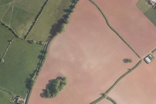 Satellite images such as this are being used by Friends of the Quantocks to show the destruction of hedgerows.