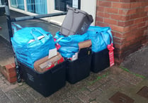 Somerset ignoring Government waste collection advice