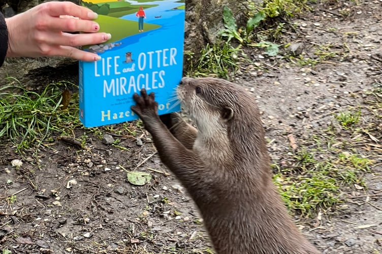 An otter checks out Exmoor author Hazel Prior's new book.