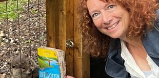 Hazel is otterly inspired to write new novel