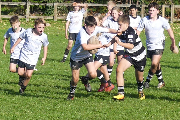 Sport