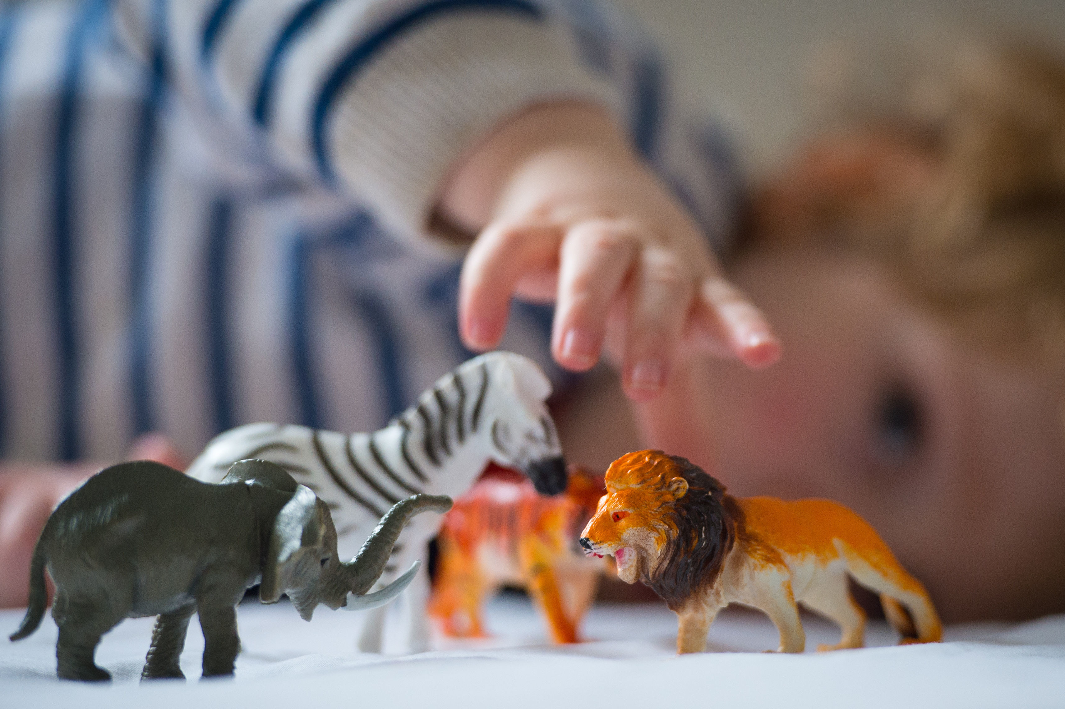 Dozens of Somerset households start fostering children as foster rates decline across England