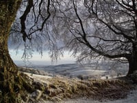 Quantock and Blackdown Hills redesignated