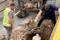 Removal of harbour cannons may be 'criminal offence'