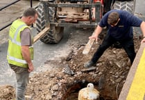 Removal of harbour cannons may be 'criminal offence'