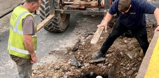 Removal of harbour cannons may be 'criminal offence'