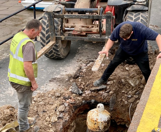 Removal of harbour cannons may be 'criminal offence'