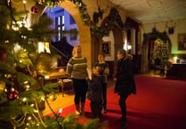Step into an historic Dunster Castle Christmas