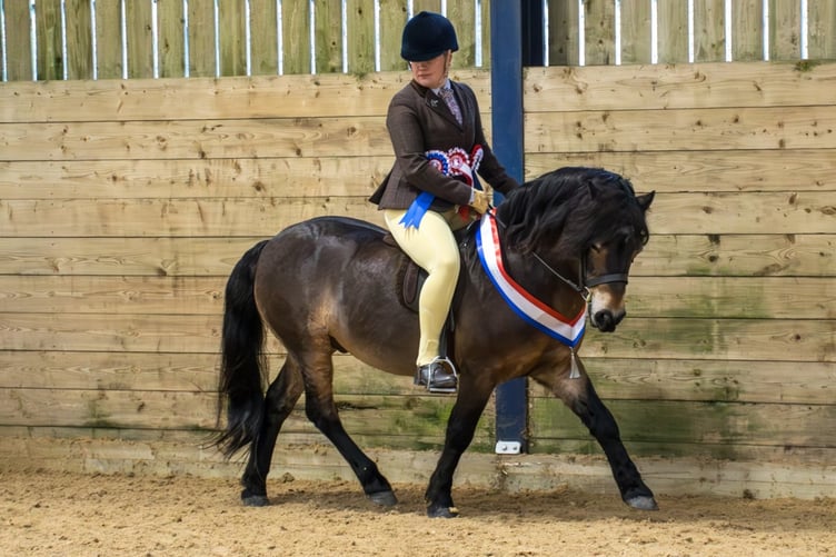 Kestra French’s Blackthorn Poteen was champion of the one ridden classes.
