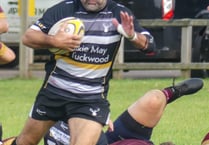 Gower snaps up four tries