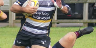 Gower snaps up four tries