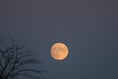 Plan to protect night sky on the Quantocks