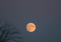 Plan to protect night sky on the Quantocks