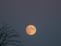 Plan to protect night sky on the Quantocks