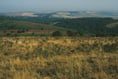 Police investigate clash with hunt saboteurs