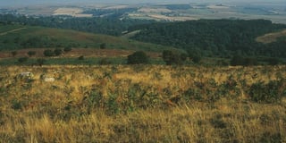Police investigate clash with hunt saboteurs