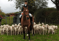 Boxing Day hunt meet planned for Wiveliscombe