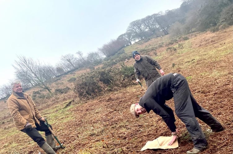 Mark, and Steve with a national park woodland creation officer planting the first Kings Wood saplings on Exmoor.