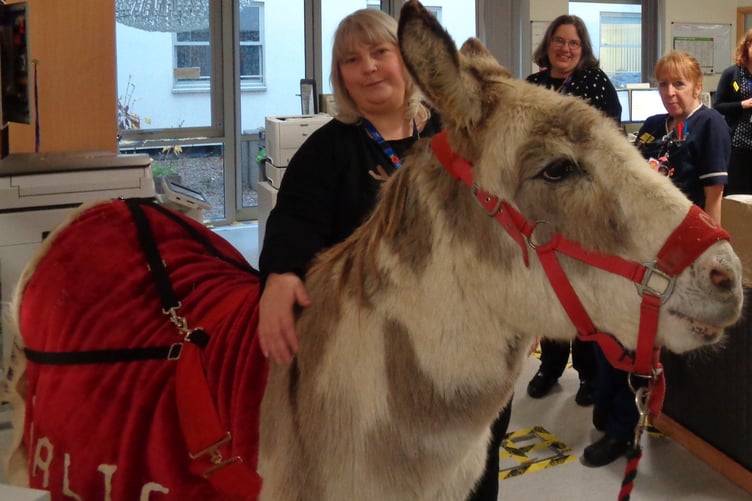 Roz Smith, Jennie Crossman, and Sister Penny Earl with Charlie the donkey in Minehead Hospital