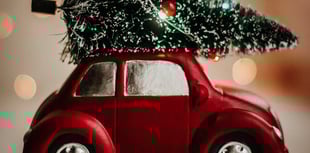 Recycling your real Christmas tree in Somerset