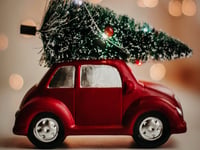 Recycling your real Christmas tree in Somerset