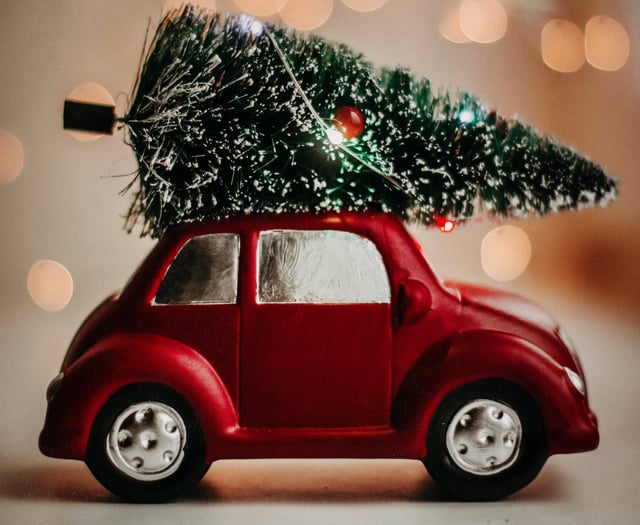 Recycling your real Christmas tree in Somerset