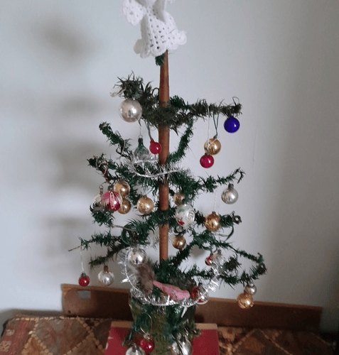 The Brimble family's 102-year-old Christmas tree.