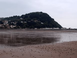 Citizen scientists helping to study West Somerset coast