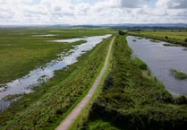 MP blasts plans to create new wetland
