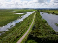 MP blasts plans to create new wetland