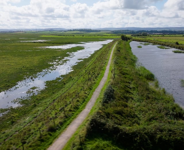 MP blasts plans to create new wetland