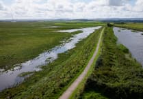 Environment Agency wetland plan for Hinkley slammed by MP Ian Liddell-Grainger