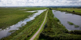 MP blasts plans to create new wetland
