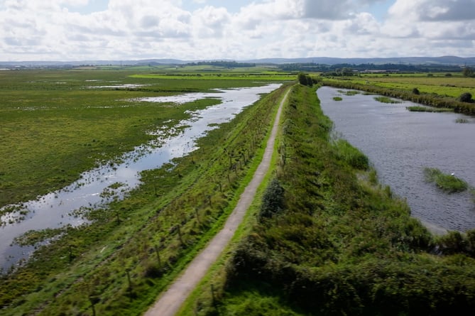 The area where Hinkley point C wants to create a new wetland reserve.