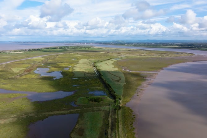 An 800-acre saltmarsh has been proposed by Hinkley Point C opposite Steart Marsh.