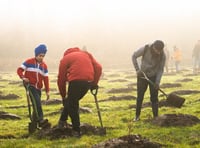 Somerset residents urged to claim 'free trees' as deadline looms