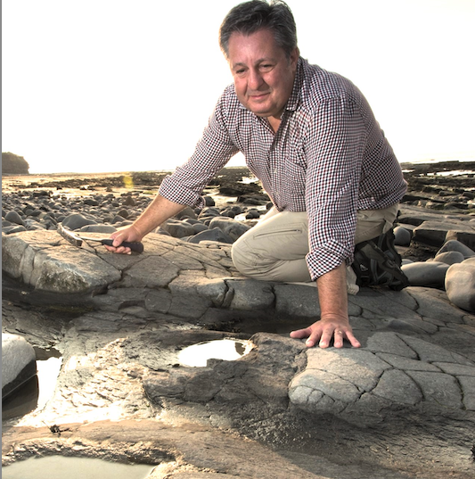 Dr Andy King, of Geckoella Ltd, is warning fossil hunters on beaches at Watchet to only take loose specimens.