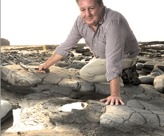 Dr Andy King, of Geckoella Ltd, is warning fossil hunters on beaches at Watchet to only take loose specimens.