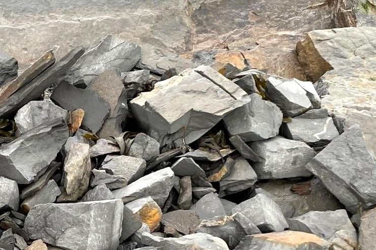 Angle grinders and rock saws have been used to extract fossils from beach cliffs in Watchet.