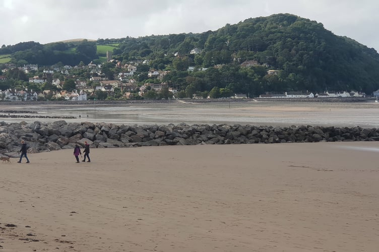 A decision on reintroducing a  dog ban on Minehead beach is still awaited.