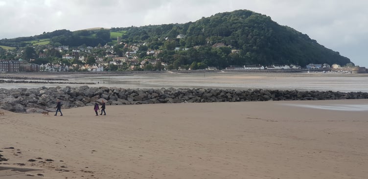 A decision on reintroducing a dog ban on Minehead beach is still awaited.