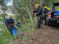 MISSING SEX OFFENDER: Police call in specialist search teams
