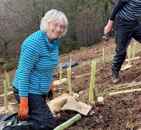 Volunteers are needed to help plant the new Kingswood woodland on Exmoor.