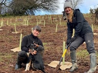 New woodland needs volunteers to plant trees